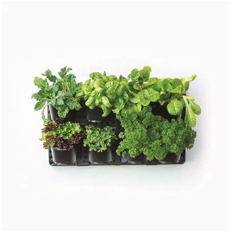 Holman Vertical Greenwall Garden Kit Bunnings Warehouse Garden Unit