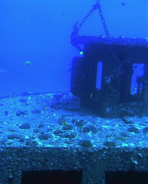 Seven Amazing Coral Reefs Made From Sunken Vehicles Recyclenation