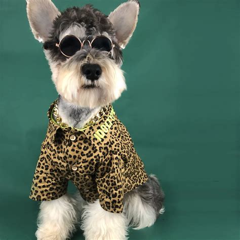 Buy Free Sunglass Fashion Pet Dog Clothes For Dog