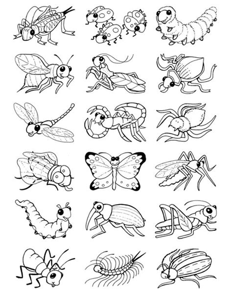 Bug Party Activity Color Own Bug Stickers Insect Coloring Pages