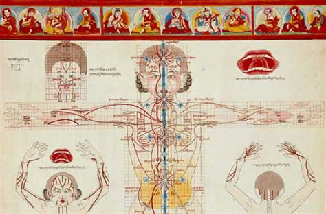 tibetan medicine is an indigenous medical traditions