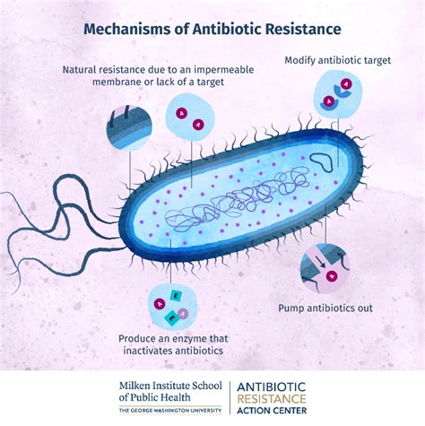 How Bacteria Build Resistance At The Cellular Level Online Public Health