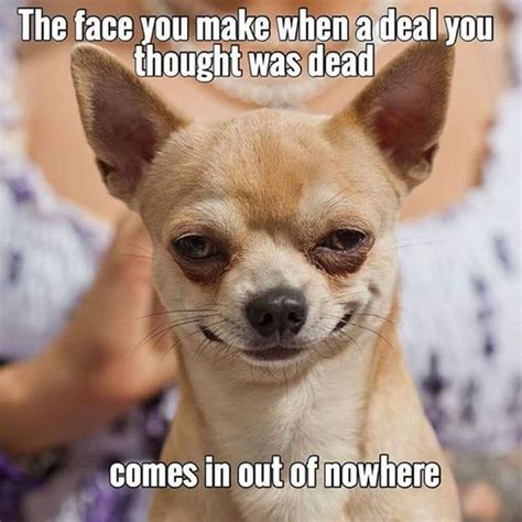 57 Hilarious Sales Memes To Laugh Off The Work Stress