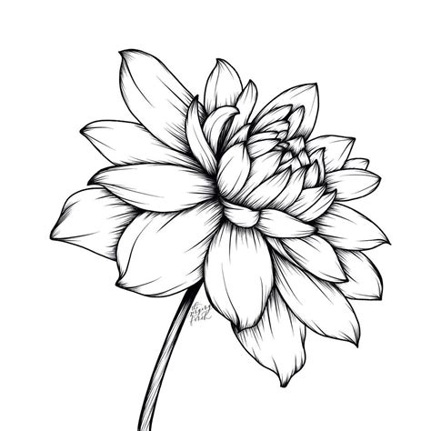 Dahlia 🖤 Floralsyourway Floralsyourway Tbt For Todays Prompt
