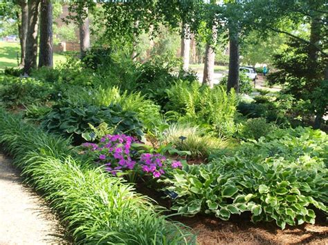 This Is A Wonderful Shade Garden I Love Hostas And Ferns Together