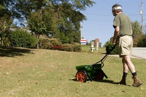 Heres How To Fertilize Your Lawn The Right Way The Garden