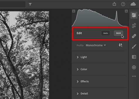 Lightroom In Black And White Creativepro Network