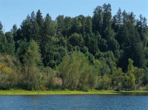 We did not find results for: Riverfront Regional Park | SonomaCounty.com