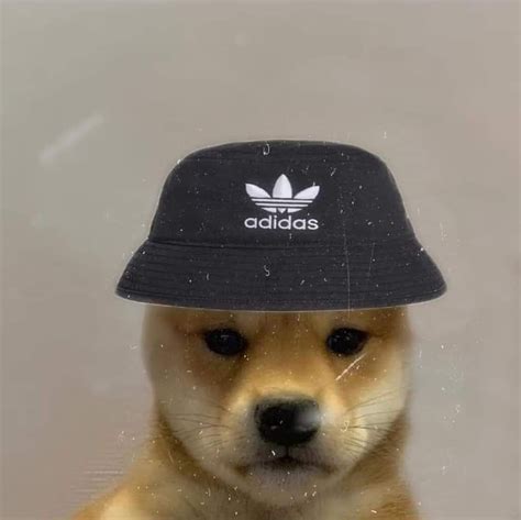 Doge Hat Meme Doge Meme Imgflip But Then When Doge The Meme