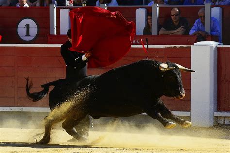 Why BTT And XRP Are Surging Now - Crypto News AU
