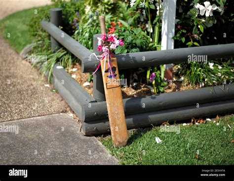Phillip hughes and cricket bat hi-res stock photography and images - Alamy