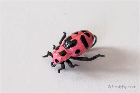 Realistic Pink Ladybug Fly Frostyfly