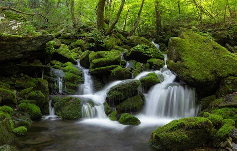 Wallpaper Forest Water Nature Stones Waterfall Moss Korea Images