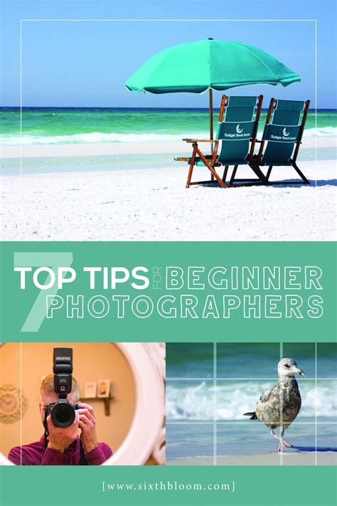 7 Top Tips For Beginner Photographers Sixth Bloom