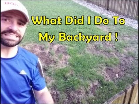 Or should i purchase equipment that is needed and do it myself? DIY Lawn Care Mistakes | Episode #1 - Simple Mowing ...