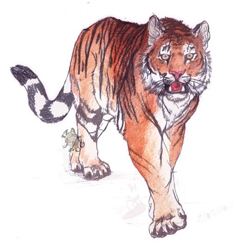 Siberian Tiger By Izapug On Deviantart