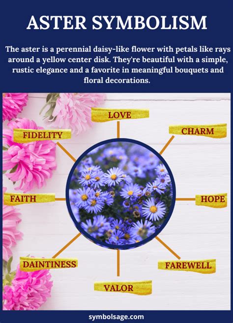Aster Meaning And Symbolism Symbol Sage Flower Meanings Aster