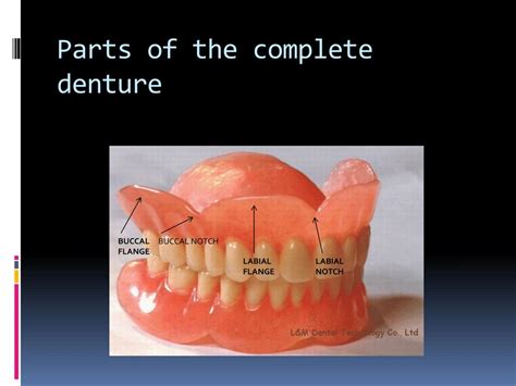 Parts Of Complete Denture