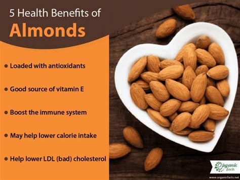 Health Benefits And Uses Of Almond Oil