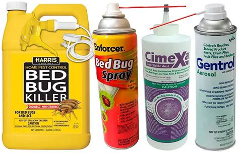 3 Best Insecticide For Bed Bugs That Actually Work In 2024 Expert Review