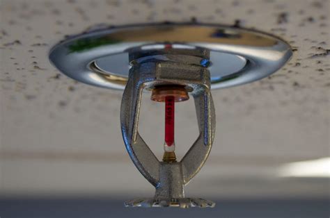 All You Need To Know About Residential Fire Sprinkler Maid Sailors