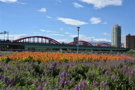 1:37 tony huang 2 369 просмотров. 古亭河濱公園》浪漫婚紗新景點 - 趴趴走的竹子 - udn部落格
