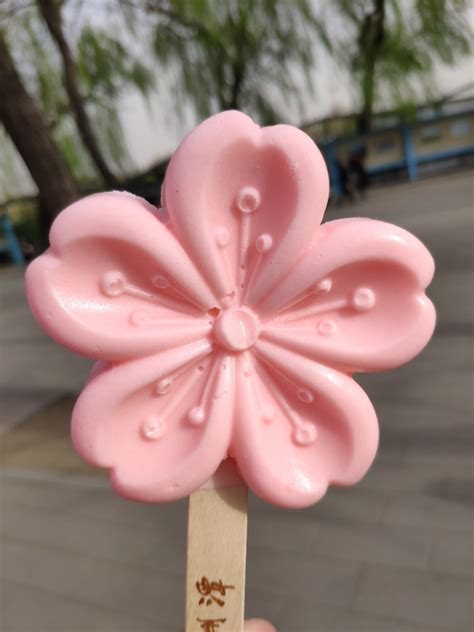 Pink Cherry Blossom Ice Cream Stevensirski