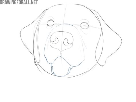 How To Draw A Realistic Dog Face How To Draw A Easy Realistic Dog Face