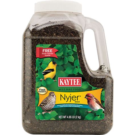 Kaytee Nyjer Songbird Wild Bird Food Thistle Seed 49 Lb Ace Hardware