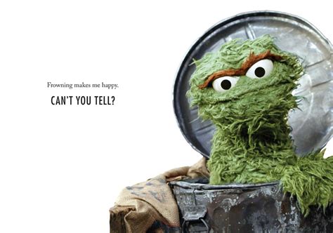 31 Best Uoscarthegrouch Images On Pholder Im The King Of My Trash Can He He He