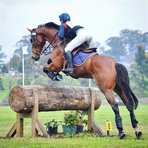 Pinterest Ercequestrian Eventing Horses Eventing Cross Country Horses