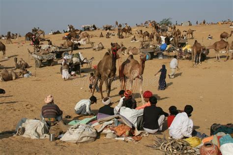 Tiovivos Justos Del Camello De Pushkar Foto De Archivo Editorial