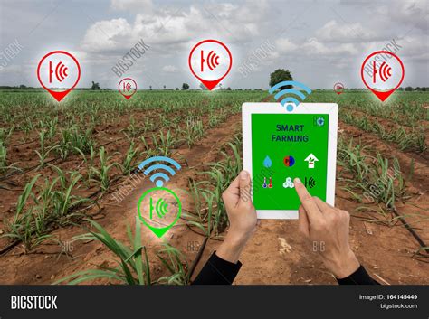Internet Of Thingsagriculture Conceptsmart Farming Smart