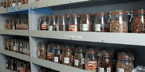 The following steps display how the department of environment and conservation, a local organization in australia, banks its seeds: Advantage Of Storing Seeds In Seed Banks / Seed Saving ...