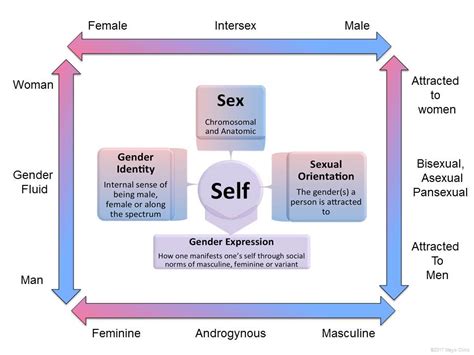 Science Behind Gender Dysphoria