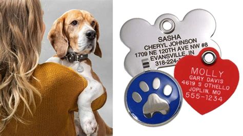 Should You Put Dogs Name On Id Tag