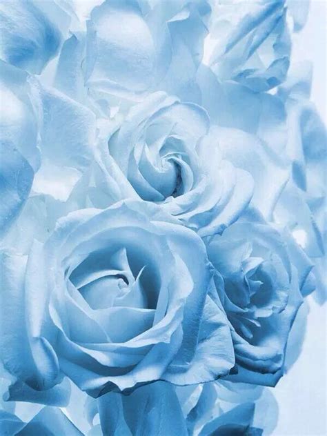 Light Blue Aesthetic Wallpaper Ipad Pin By 信秋 符 On Diy And Crafts