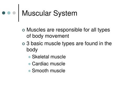 Ppt Muscular System Powerpoint Presentation Free Download Id58773