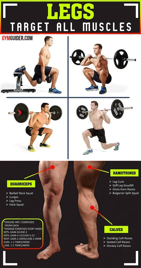 Build Stronger Legs And Glutes In The Gym With This Muscle Building Lower Body Workout Engaging