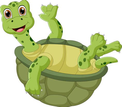 280 Cute Cartoon Turtles Walking Illustrations Royalty Free Vector