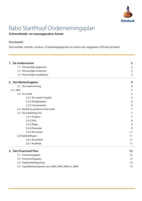 Smart Relais Persoonlijk Financieel Plan Voorbeeld