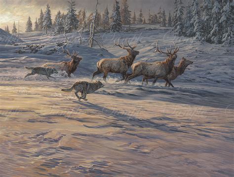 Grey Wolves Chasing Wapiti Oil Painting Of A Dramatic Wolf Hunt