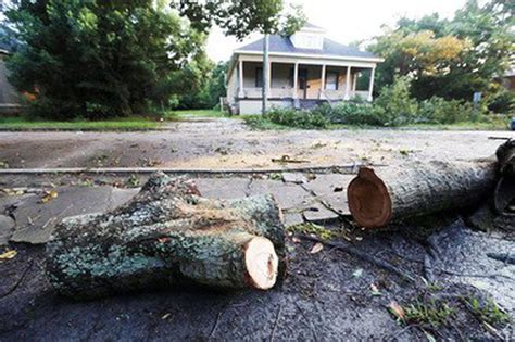 Storms Knock Power Out Down Trees Across South Alabama List Of Road Problems Updated