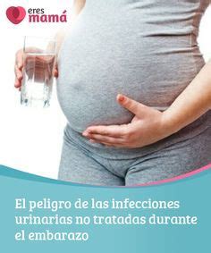 El Peligro De Las Infecciones Urinarias No Tratadas Durante El Embarazo Urinarios Embarazo
