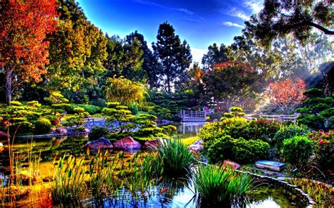 Colorful Nature In The Sun Rays Japanese Garden Wallpaper