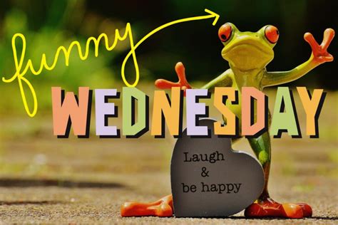 Funny Wednesday Quotes For A Great Midweek Vibe Transitions And Beginnings