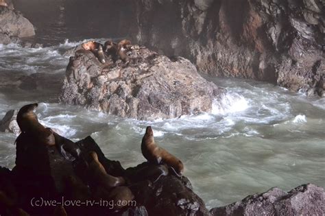 We Love Rving Sea Lion Caves Oregon Usa