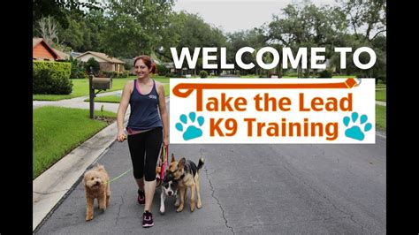 Welcome To Take The Lead K9 Training Youtube
