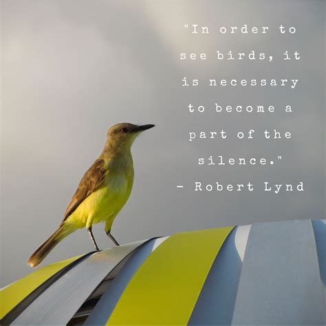 Funny Bird Watching Quotes Shortquotescc