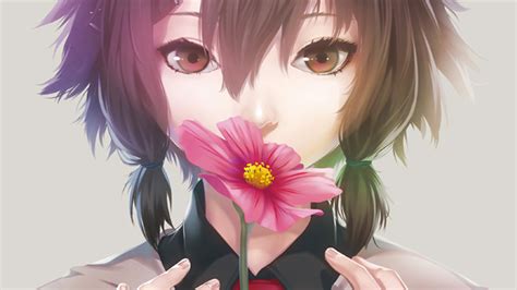anime, Anime Girls, Flowers, Closeup, Soft Shading Wallpapers HD / Desktop and Mobile Backgrounds